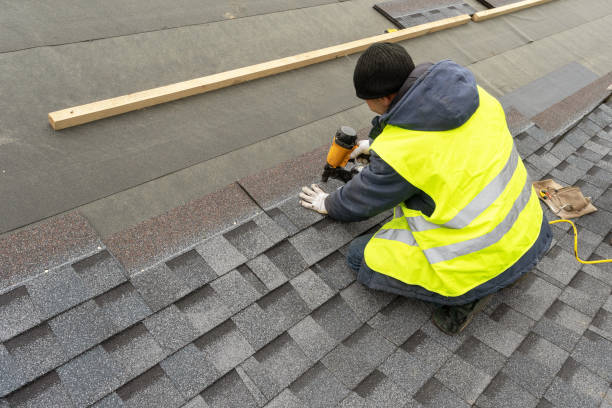 Best Roof Gutter Cleaning  in La Vernia, TX